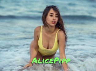 AlicePipp
