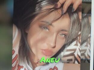 Aneu