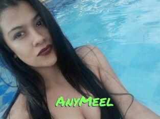 AnyMeel
