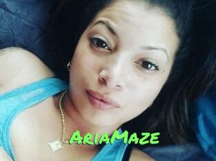 Aria_Maze