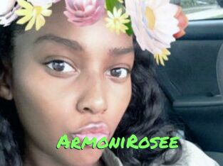 ArmoniRosee Gros Seins