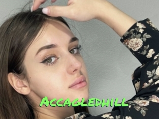 Accagledhill