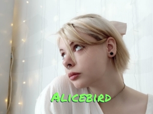 Alicebird