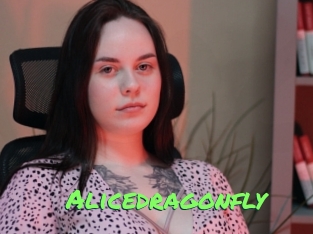 Alicedragonfly