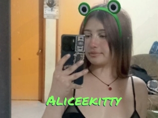 aliceekitty Gros Seins
