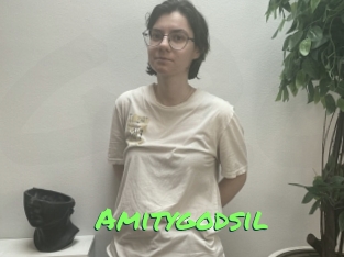Amitygodsil