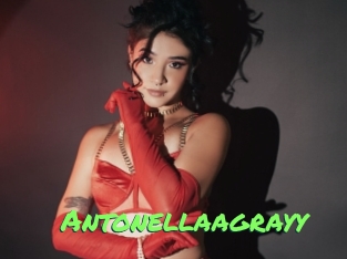 Antonellaagrayy