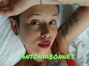 antoniabonnet Gros Seins