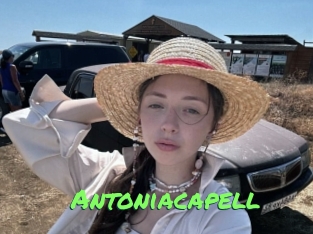 antoniacapell Gros Seins