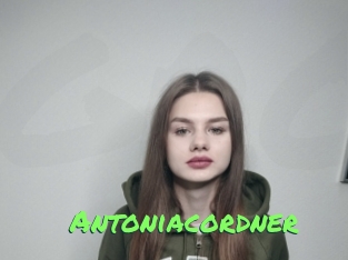 antoniacordner Gros Seins