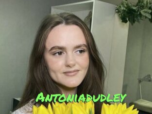 antoniadudley Gros Seins