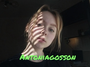 Antoniagosson
