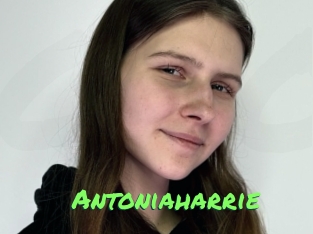 antoniaharrie Gros Seins