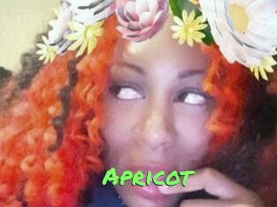 apricot Gros Seins