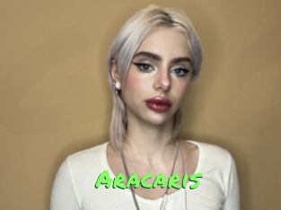 Aracaris