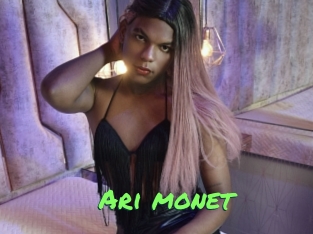 Ari_monet