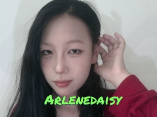 Arlenedaisy