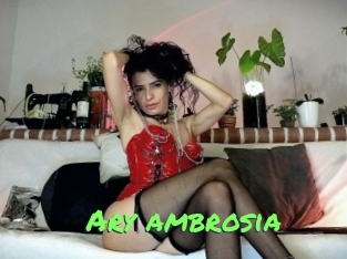 Ary_ambrosia