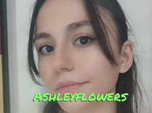 ashleyflowers Gros Seins