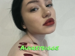 Audreybigge