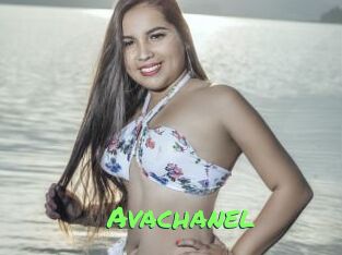 avachanel Gros Seins