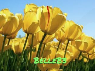 BelleB3