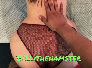 Billythehamster