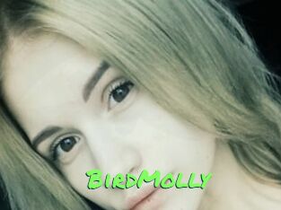 BirdMolly