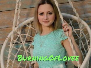 BurningOfLovee