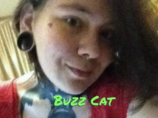 Buzz_Cat Gros Seins