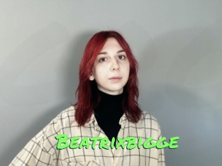 Beatrixbigge