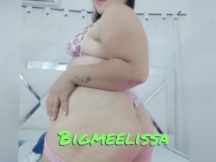 Bigmeelissa