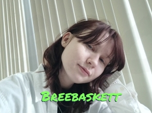 Breebaskett