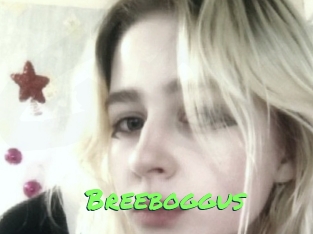 Breeboggus