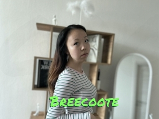 Breecoote