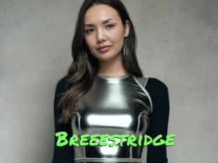 Breeestridge