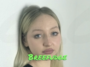 Breefudge