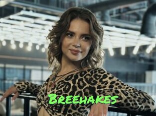 Breehakes