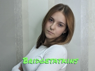 Bridgetatkins