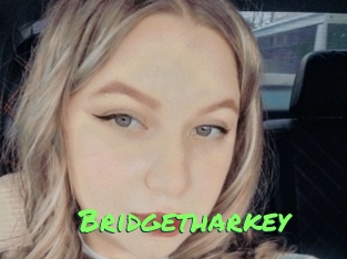 Bridgetharkey
