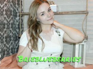 Brieblueberries
