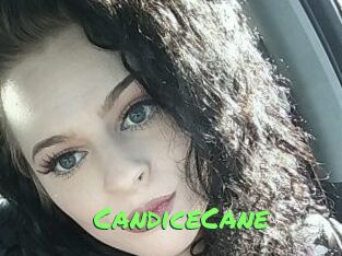 Candice_Cane