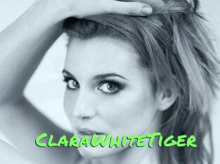 ClaraWhiteTiger