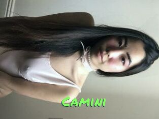 camini Gros Seins