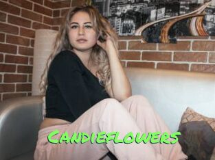 Candieflowers