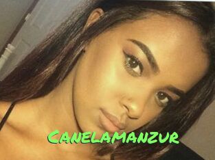 Canelamanzur