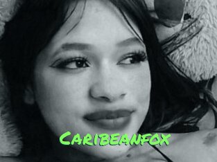Caribeanfox