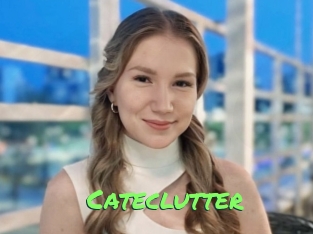 Cateclutter