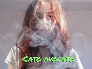 Cato_avocato