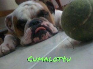 Cumalot4u